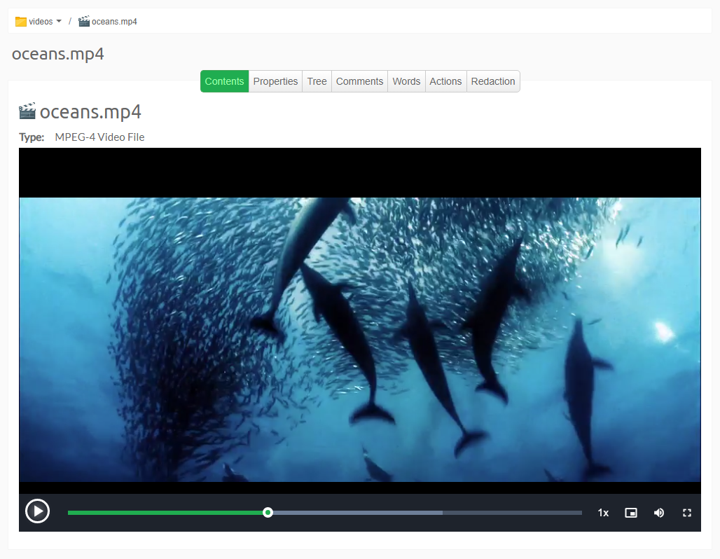 Video player in Previewer