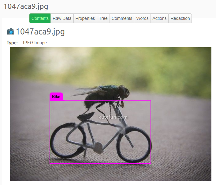 Detected objects