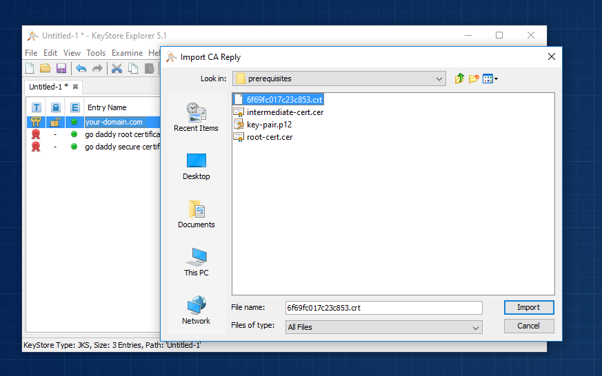 Importing CA Reply