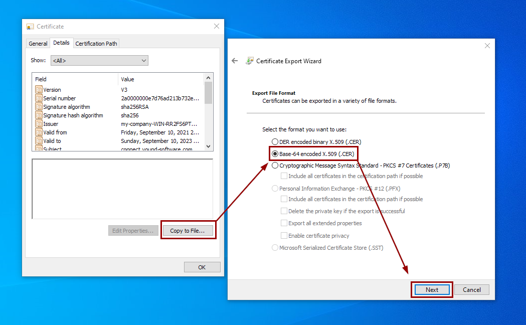 Copy SSL certificate to file