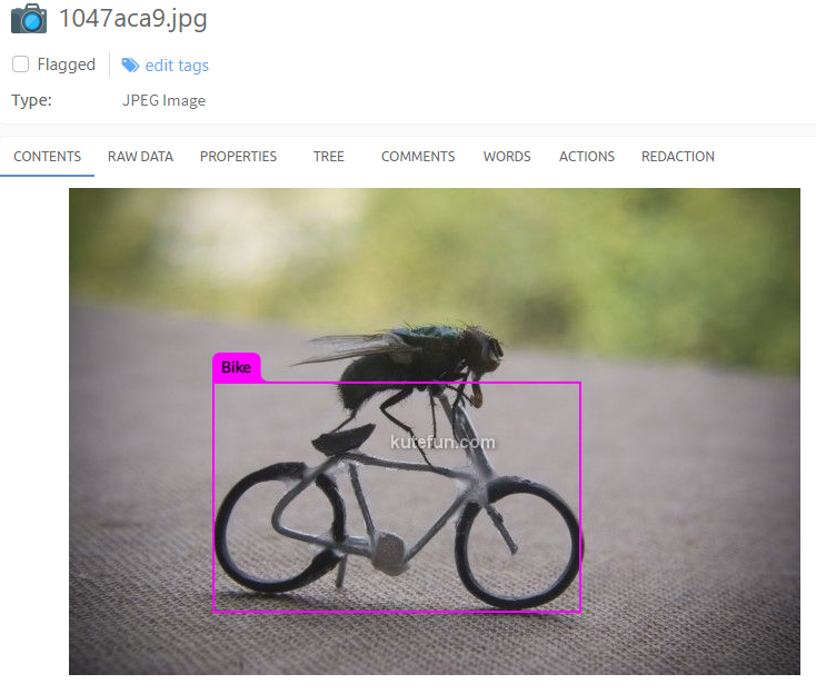Detected objects